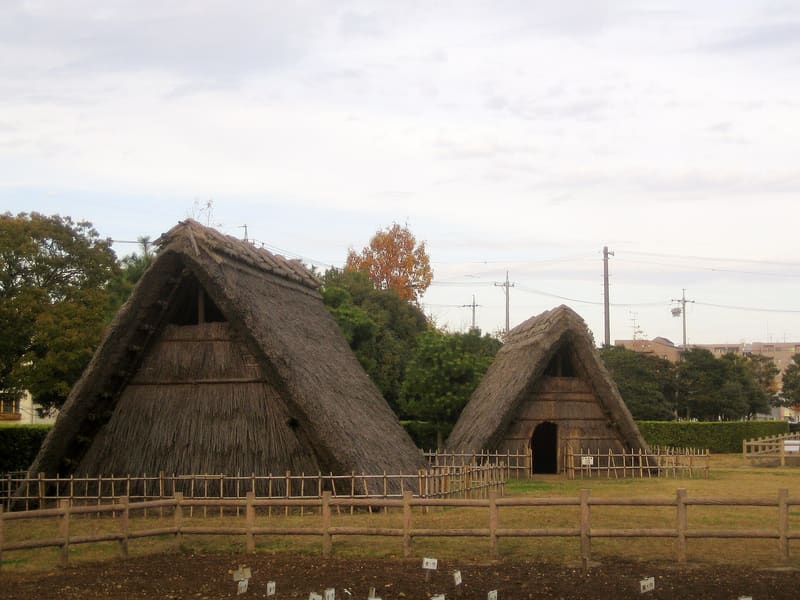 Shijimizuka: Jōmon site and Hamamatsu Museum