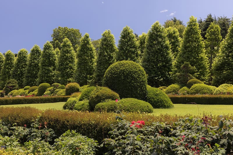 Shinjuku Gyoen