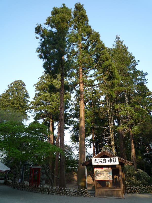 鹽竈神社