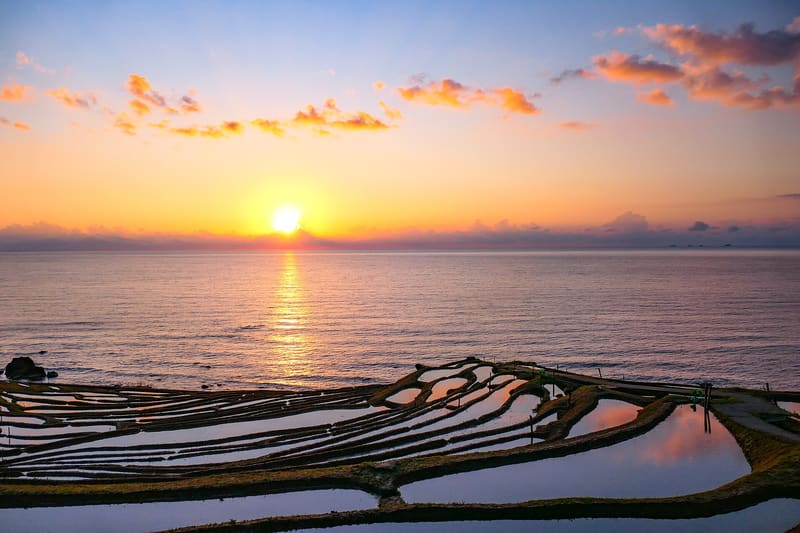 白米千枚田