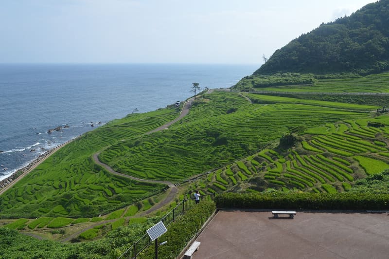 白米千枚田