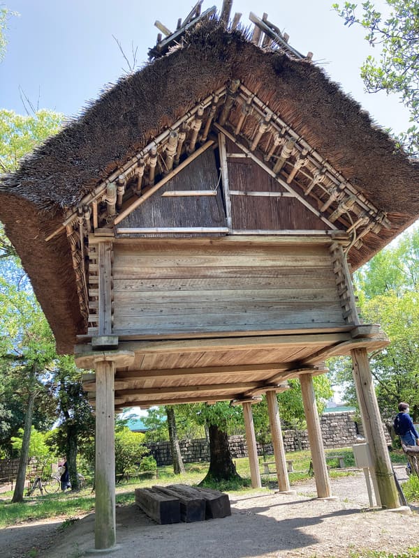 Toro Archaeological Site