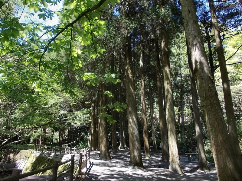 Sorgente di Ikeyama (池山水源)