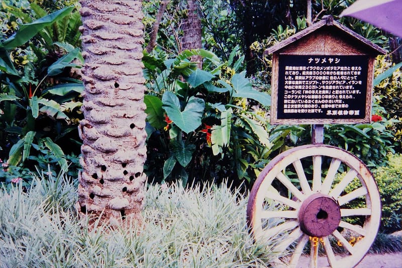 Southeast Botanical Gardens (東南植物楽園)