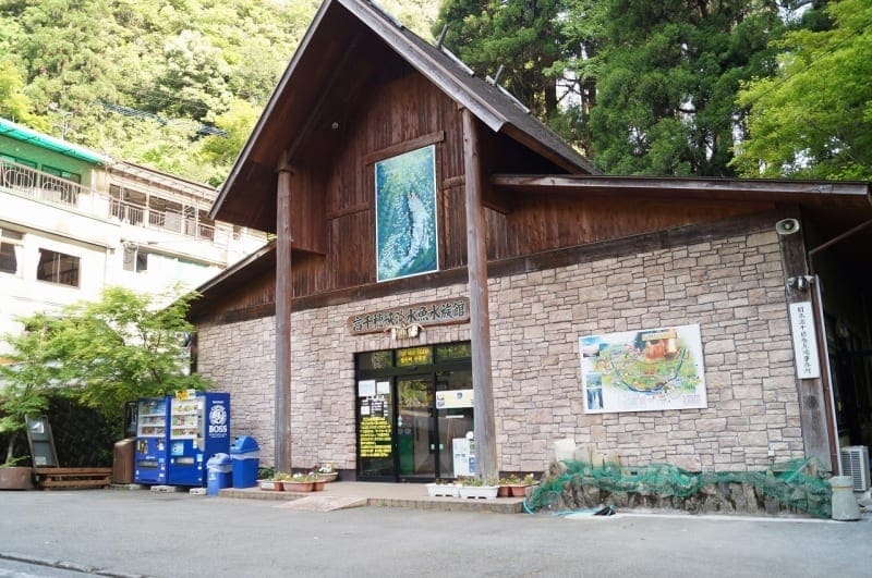 Takachiho Freshwater Fish Aquarium