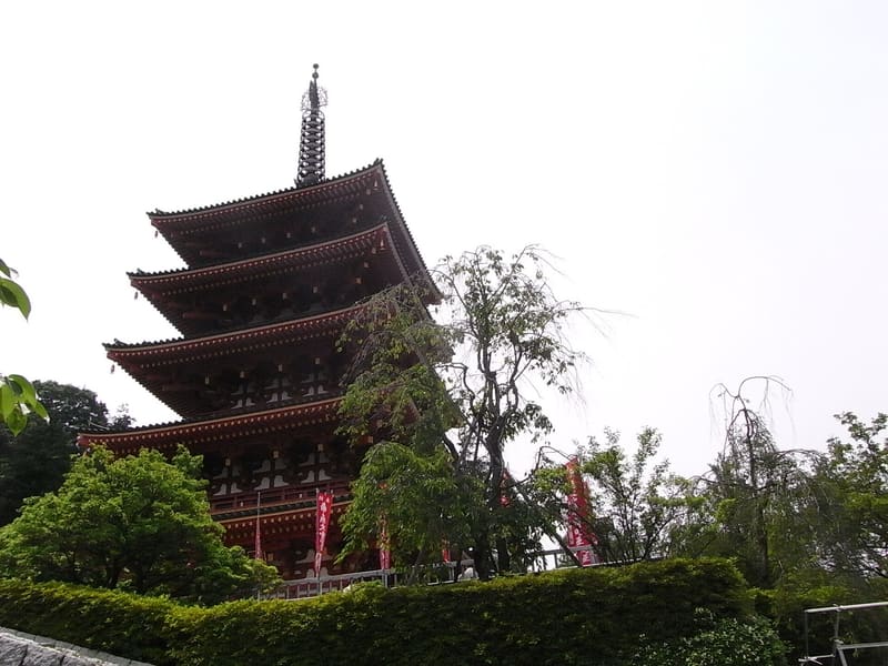 Takahata Fudōson, Kongō-ji