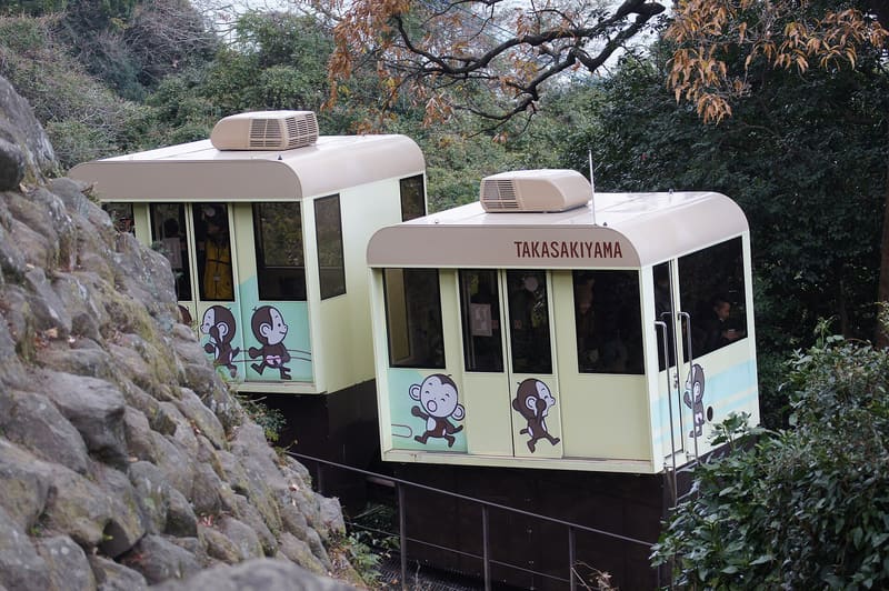高崎山自然動物園