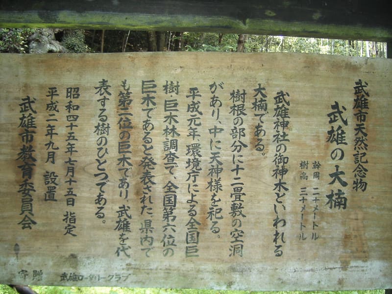 武雄之大楠(武雄の大楠)