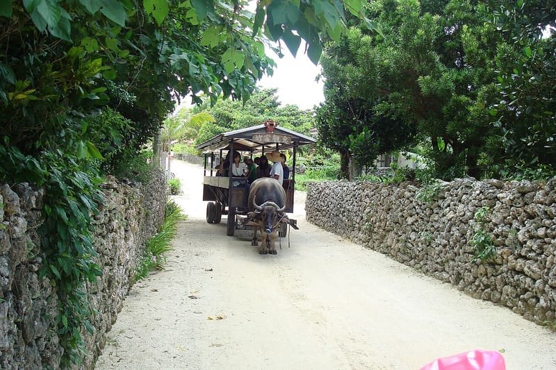 Taketomi (traditional village)