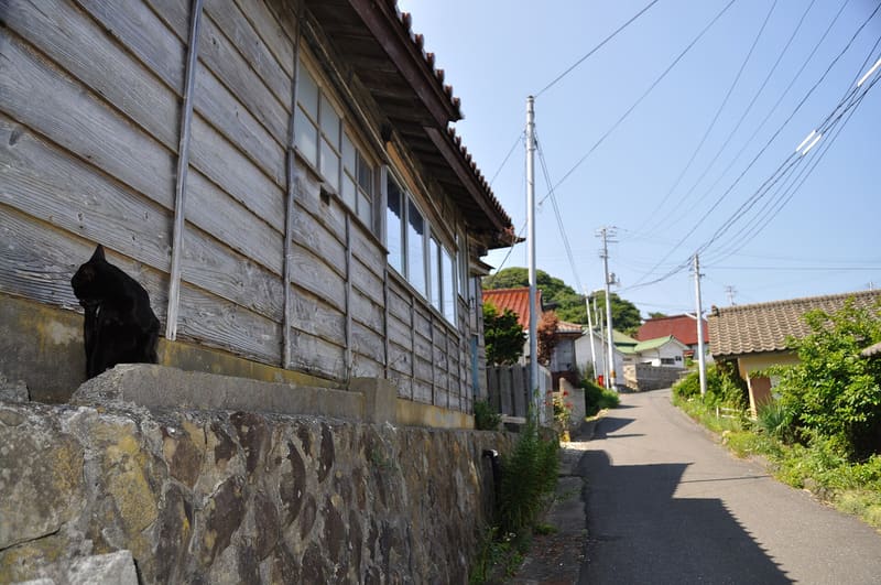 田代島，貓島