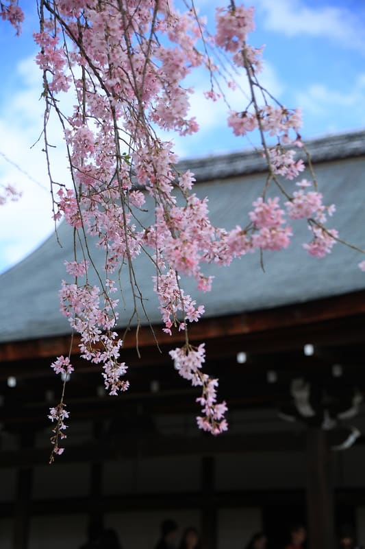 天龍寺