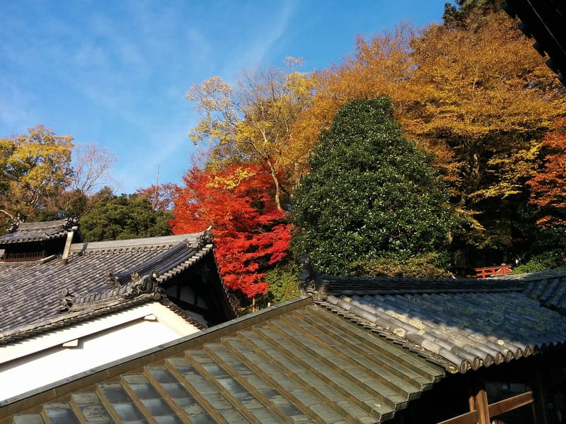 Tōdai-ji Nigatsu-dō (Omizutori)