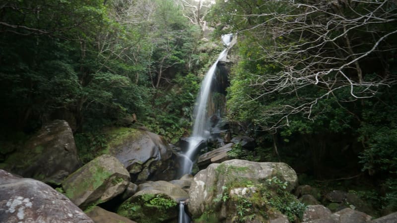 Todoroki Falls