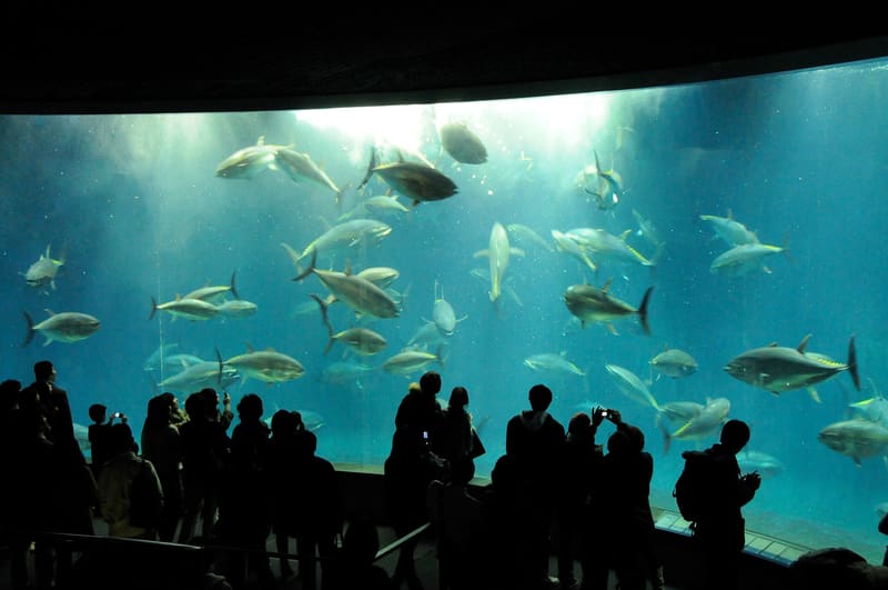 Tokyo Sea Life Park
