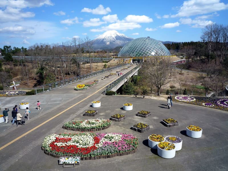 とっとり花回廊