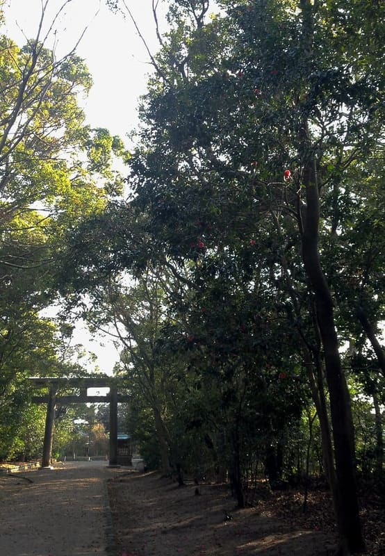 津八幡宮