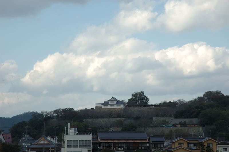 Tsuyama Castle (Kakuzan Park)