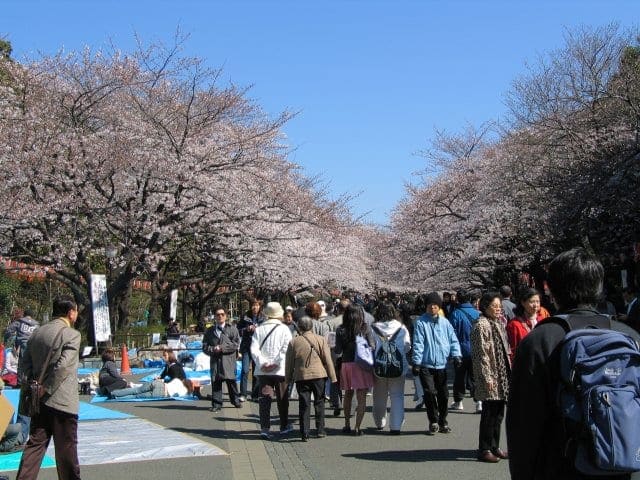 上野