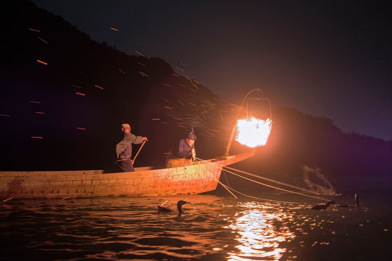 Ukai del Nagara-gawa, pesca coi cormorani