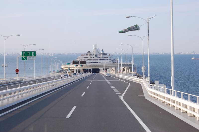 海螢火蟲
