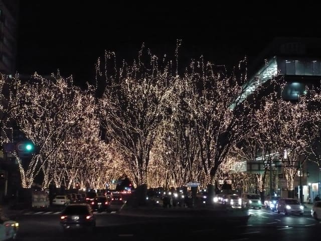 Jozenji Avenue (定禅寺通り)