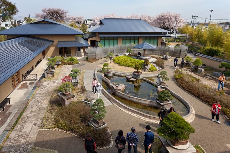 Ōmiya Bonsai Art Museum