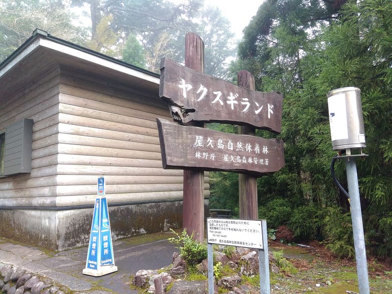 Yakusugi Land (ヤクスギランド)