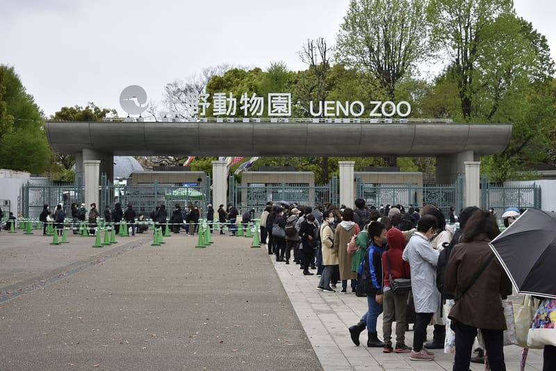 Zoo di Ueno (上野動物園)