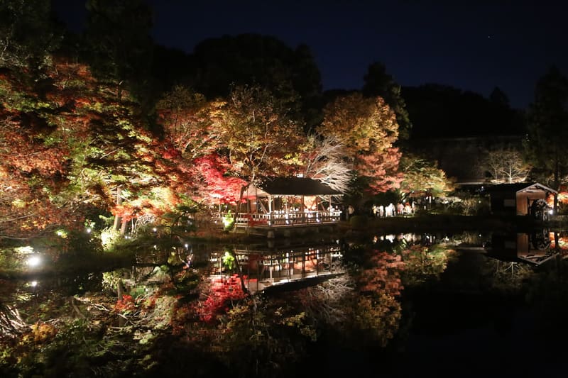 東山動植物園